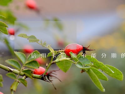信用卡逾期不能分期的后果