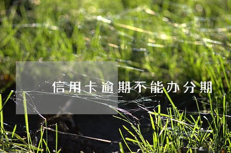信用卡逾期不能办分期 信用卡逾期不能办分期