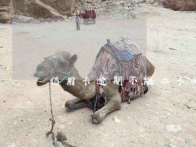 信用卡逾期不能办卡吗 信用卡逾期不能办卡吗