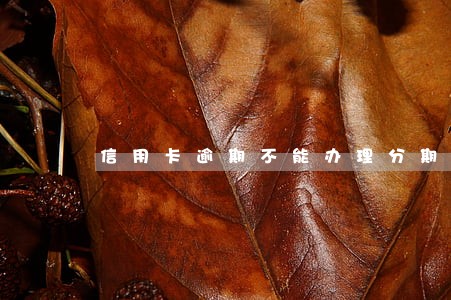 信用卡逾期不能办理分期了吗