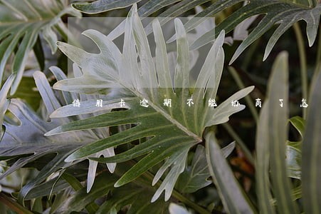 信用卡逾期不能协商了怎么办 信用卡逾期不能协商了怎么办