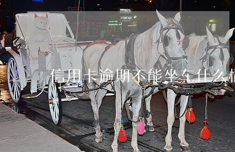 信用卡逾期不能坐车什么情况 信用卡逾期不能坐车什么情况