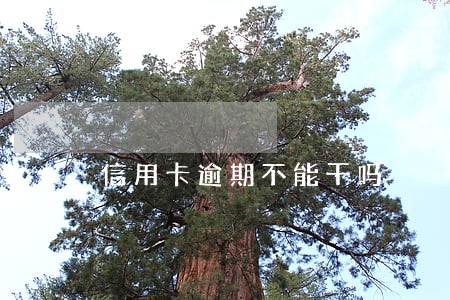 信用卡逾期不能干吗