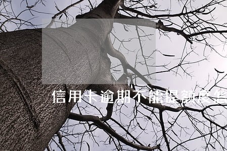 信用卡逾期不能提额度怎么办 信用卡逾期不能提额度怎么办