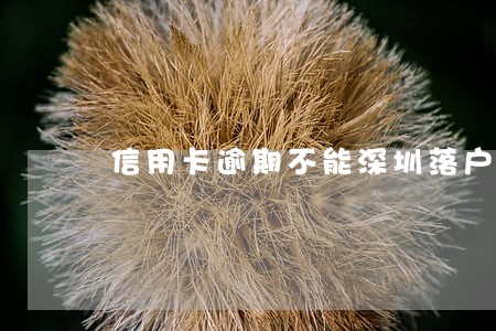 信用卡逾期不能深圳落户 信用卡逾期不能深圳落户
