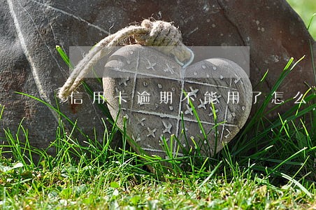 信用卡逾期不能用了怎么处理