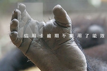 信用卡逾期不能用了能激活吗 信用卡逾期不能用了能激活吗