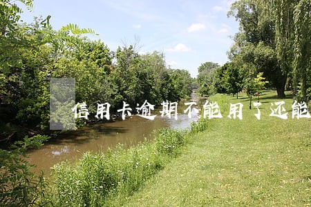 信用卡逾期不能用了还能开卡吗 信用卡逾期不能用了还能开卡吗