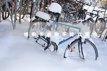 信用卡逾期不能立案吗 信用卡逾期不能立案吗
