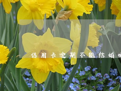 信用卡逾期不能结婚吗