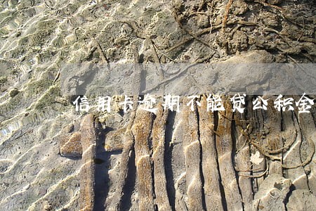 信用卡逾期不能贷公积金贷款吗 信用卡逾期不能贷公积金贷款吗