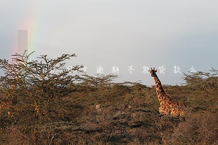信用卡逾期不能贷款么 信用卡逾期不能贷款么