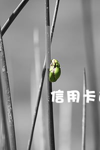 信用卡逾期不能超过几个 信用卡逾期不能超过几个