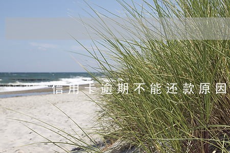 信用卡逾期不能还款原因 信用卡逾期不能还款原因