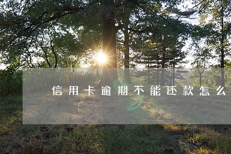 信用卡逾期不能还款怎么办