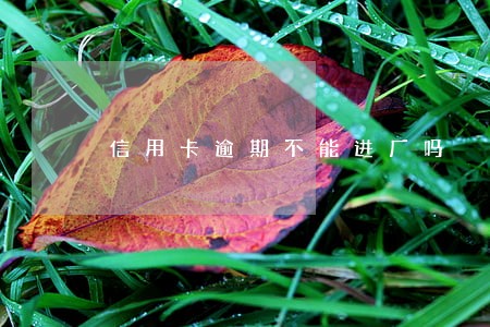信用卡逾期不能进厂吗 信用卡逾期不能进厂吗