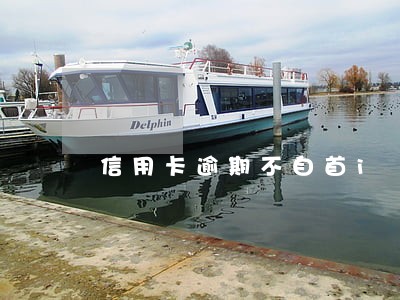 信用卡逾期不自首i