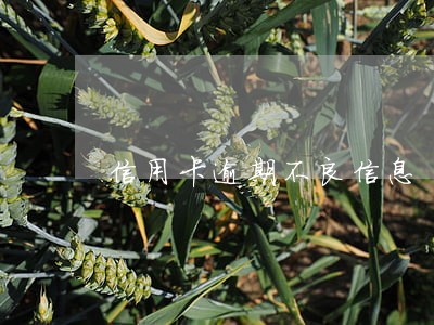 信用卡逾期不良信息 信用卡逾期不良信息