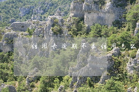 信用卡逾期不良信用怎么消除 信用卡逾期不良信用怎么消除