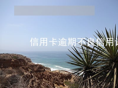 信用卡逾期不良信用记录6 信用卡逾期不良信用记录6