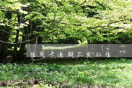 信用卡逾期不良征信 信用卡逾期不良征信