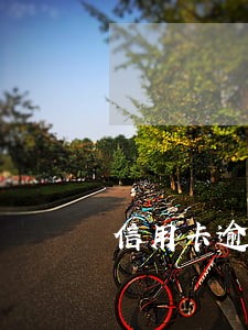 信用卡逾期不良怎么处理