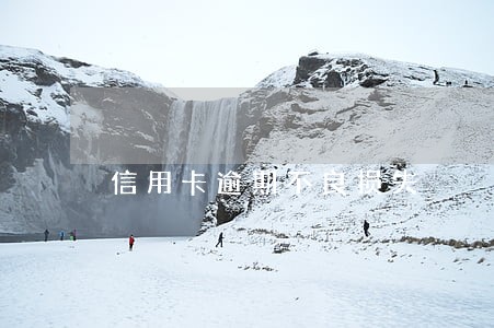 信用卡逾期不良损失 信用卡逾期不良损失