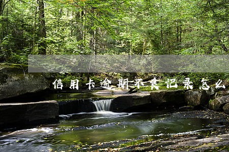 信用卡逾期不良记录怎么解决上海 信用卡逾期不良记录怎么解决上海