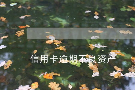 信用卡逾期不良资产 信用卡逾期不良资产