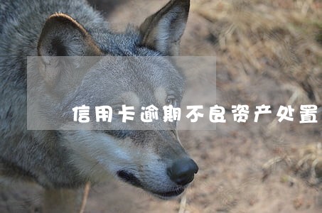 信用卡逾期不良资产处置 信用卡逾期不良资产处置