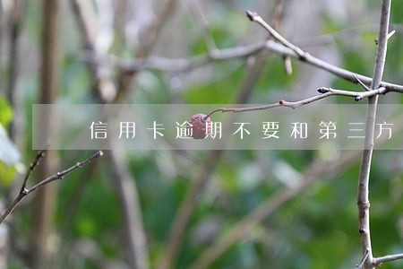 信用卡逾期不要和第三方协商