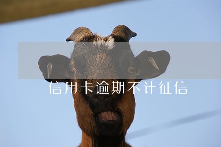信用卡逾期不计征信 信用卡逾期不计征信
