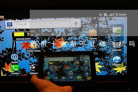 信用卡逾期不让做飞机吗 信用卡逾期不让做飞机吗