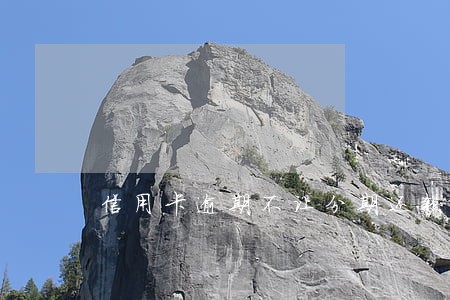 信用卡逾期不让分期还款怎么办 信用卡逾期不让分期还款怎么办