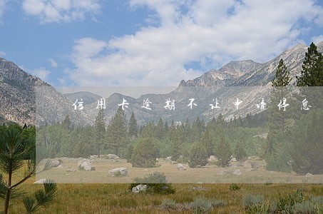 信用卡逾期不让申请停息挂账