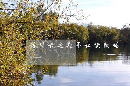 信用卡逾期不让贷款吗 信用卡逾期不让贷款吗