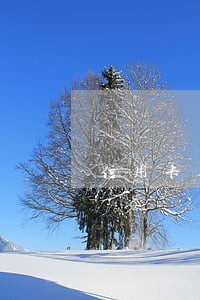 信用卡逾期不超三个月 信用卡逾期不超三个月