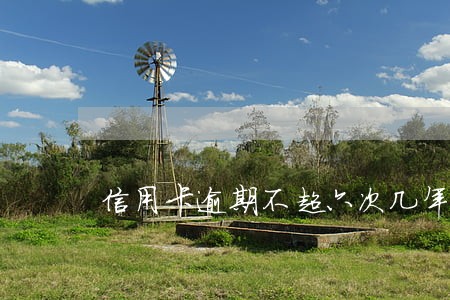信用卡逾期不超六次几年 信用卡逾期不超六次几年