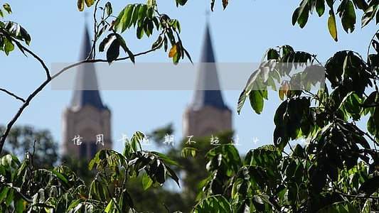 信用卡逾期不超过40天 信用卡逾期不超过40天