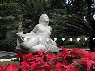 信用卡逾期不超过下个账单日 信用卡逾期不超过下个账单日