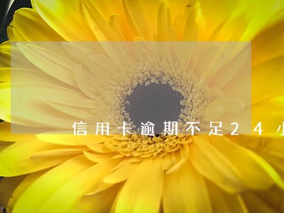 信用卡逾期不足24小时 信用卡逾期不足24小时