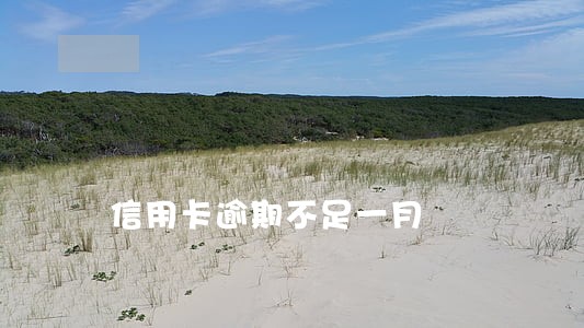 信用卡逾期不足一月