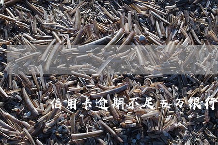 信用卡逾期不足五万银行拒绝协商 信用卡逾期不足五万银行拒绝协商