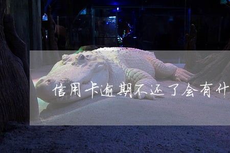 信用卡逾期不还了会有什么后果
