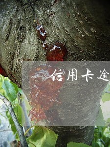 信用卡逾期不还了没事的