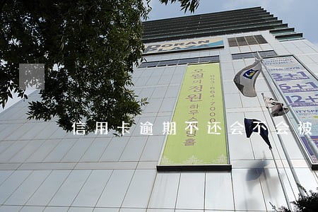 信用卡逾期不还会不会被拘留 信用卡逾期不还会不会被拘留