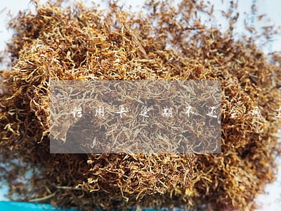 信用卡逾期不还会减芝麻分吗 信用卡逾期不还会减芝麻分吗