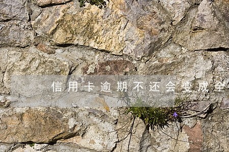 信用卡逾期不还会变成全额吗 信用卡逾期不还会变成全额吗