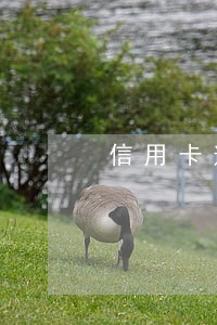 信用卡逾期不还会叫