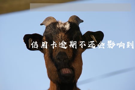 信用卡逾期不还会影响到孩子吗 信用卡逾期不还会影响到孩子吗